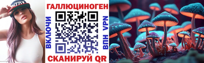 купить закладку  Чернушка  Галлюциногенные грибы ЛСД 